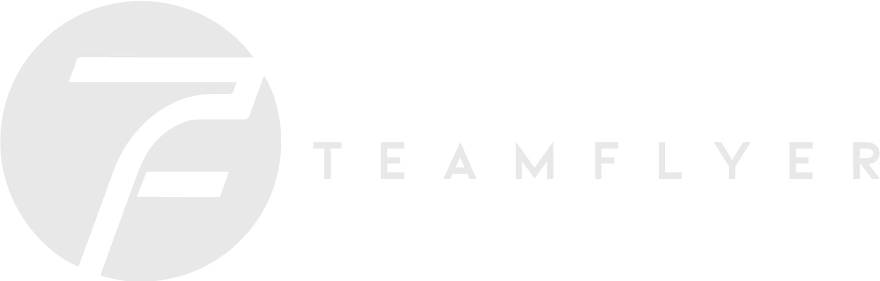 TeamFlyerStudio